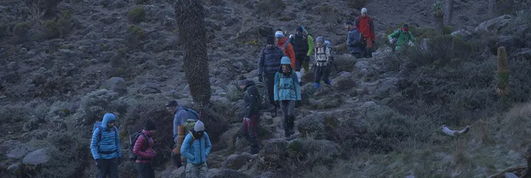 Barranco Camp to Karanga Camp (5th of 8 Days Climbing Kilimanjaro on Top)